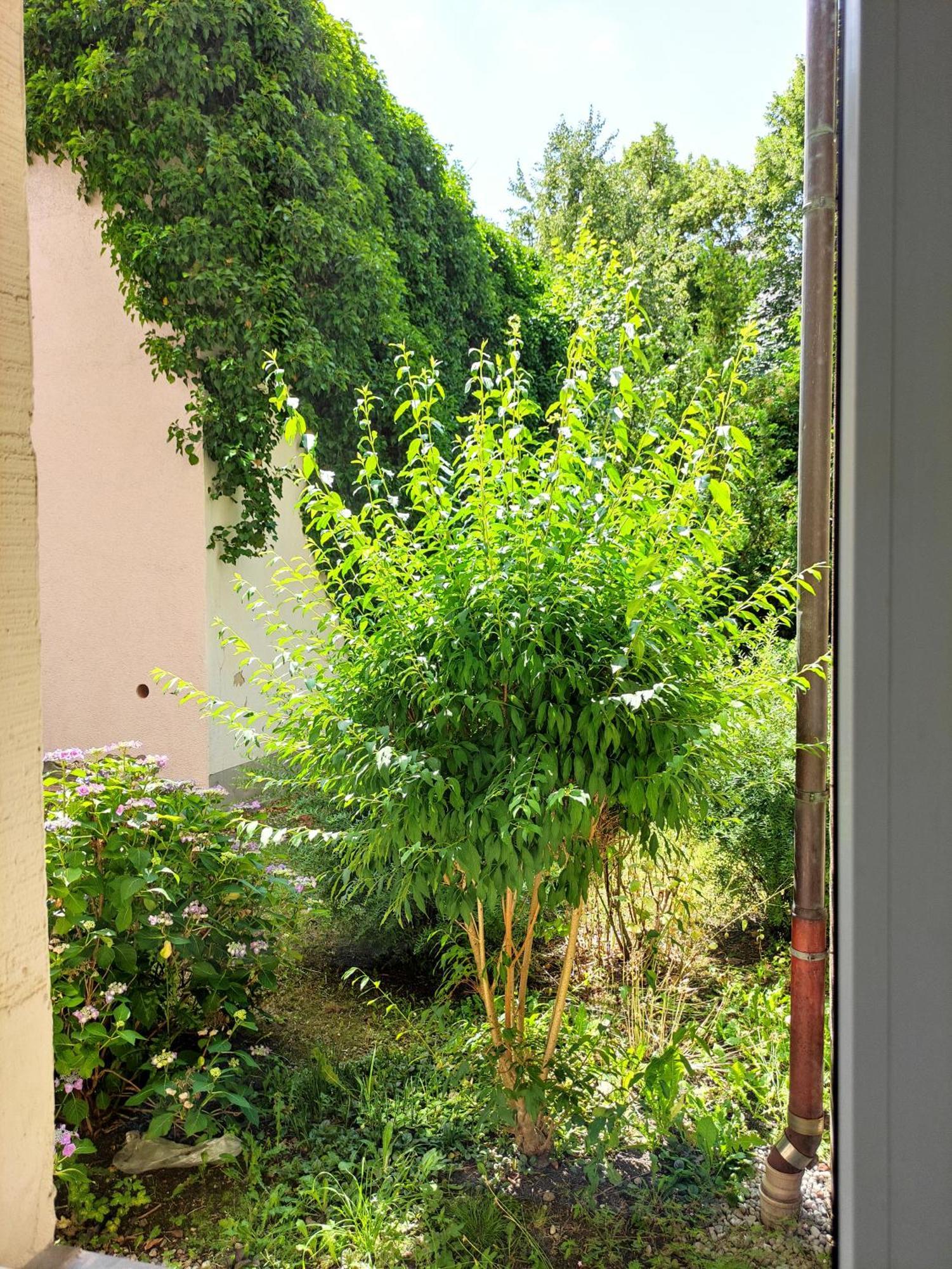 Exklusive Wohnung Mit Kingsize-Bett I 75Qm I Am See I Netflix I Gratis Kaffee & Teeangebot Chemnitz  Exteriér fotografie